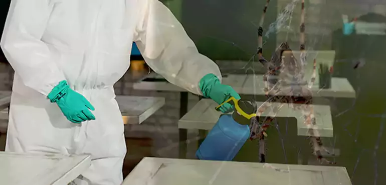 Why Buyers Still Want Homes With Pest Infestations in Jersey City, NJ?