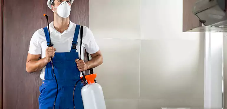 Why Jersey City Homeowners Choose Us When Pests Make Selling Difficult