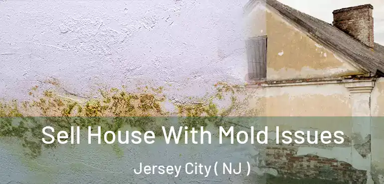  Sell House With Mold Issues Jersey City ( NJ )
